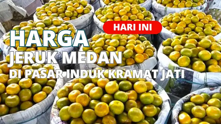 Harga Jeruk Medan di Pasar Induk Kramat Jati