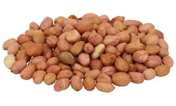 Harga Kacang Tanah India