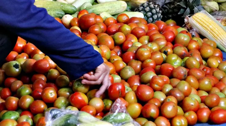 Harga Tomat Di Pasar Induk Cibitung